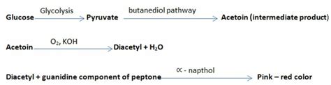 vp test procedure|VP Test: Principle, Reagents, Procedure, Results, Uses .